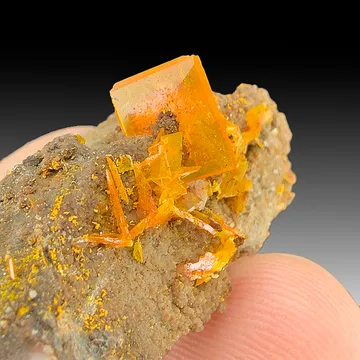 Wulfenite from Mammoth-Saint Anthony Mine, Arizona, USA