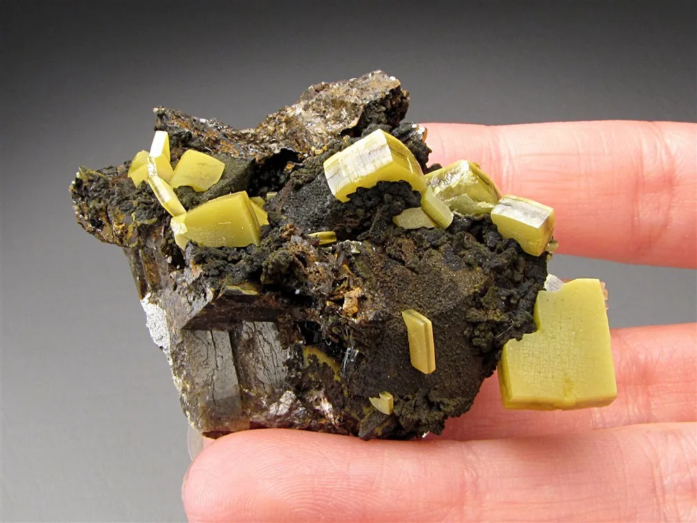 Wulfénite from Mexico, Durango, Mapimí, Ojuela Mine image