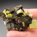 Wulfénite from Mexico, Durango, Mapimí, Ojuela Mine - image 1