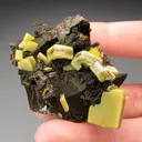 Wulfénite from Mexico, Durango, Mapimí, Ojuela Mine - image 6
