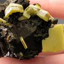 Wulfénite from Mexico, Durango, Mapimí, Ojuela Mine - image 2