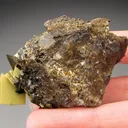 Wulfénite from Mexico, Durango, Mapimí, Ojuela Mine - image 5