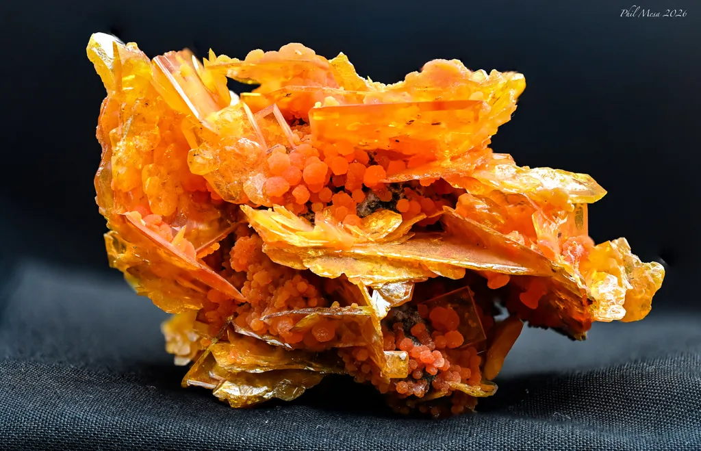 Wulfenite from Mexico, Sonora, Cucurpe, San Francisco Mine image
