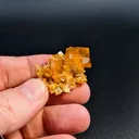 Wulfenite from Mexico, Sonora, San Francisco Mine - image 2