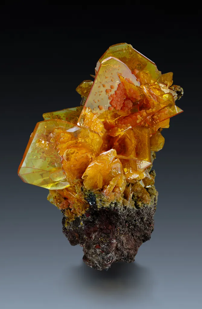 Wulfenite from Mexico, Sonora, San Francisco Mine image