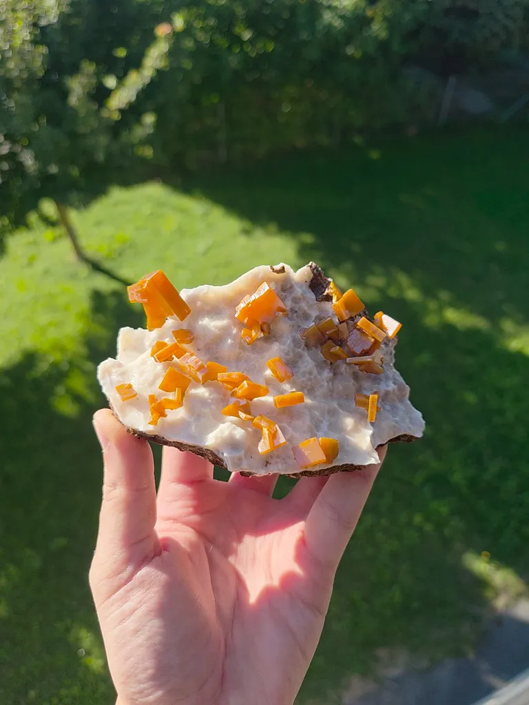 specimen video