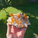 specimen video