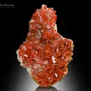 Wulfenite from Ojuela Mine Durango Mexico - image 1