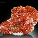 Wulfenite from Ojuela Mine Durango Mexico - image 2