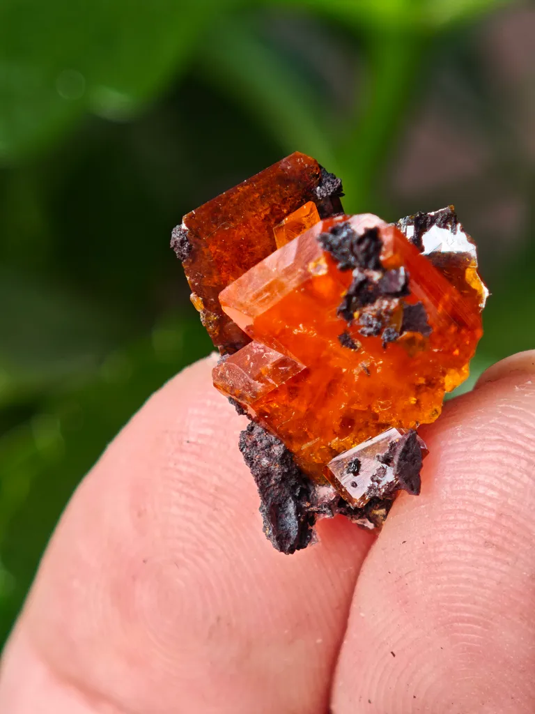 Wulfenite from Red Cloud Mine, Arizona, USA - image 7