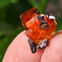 Wulfenite from Red Cloud Mine, Arizona, USA - image 7