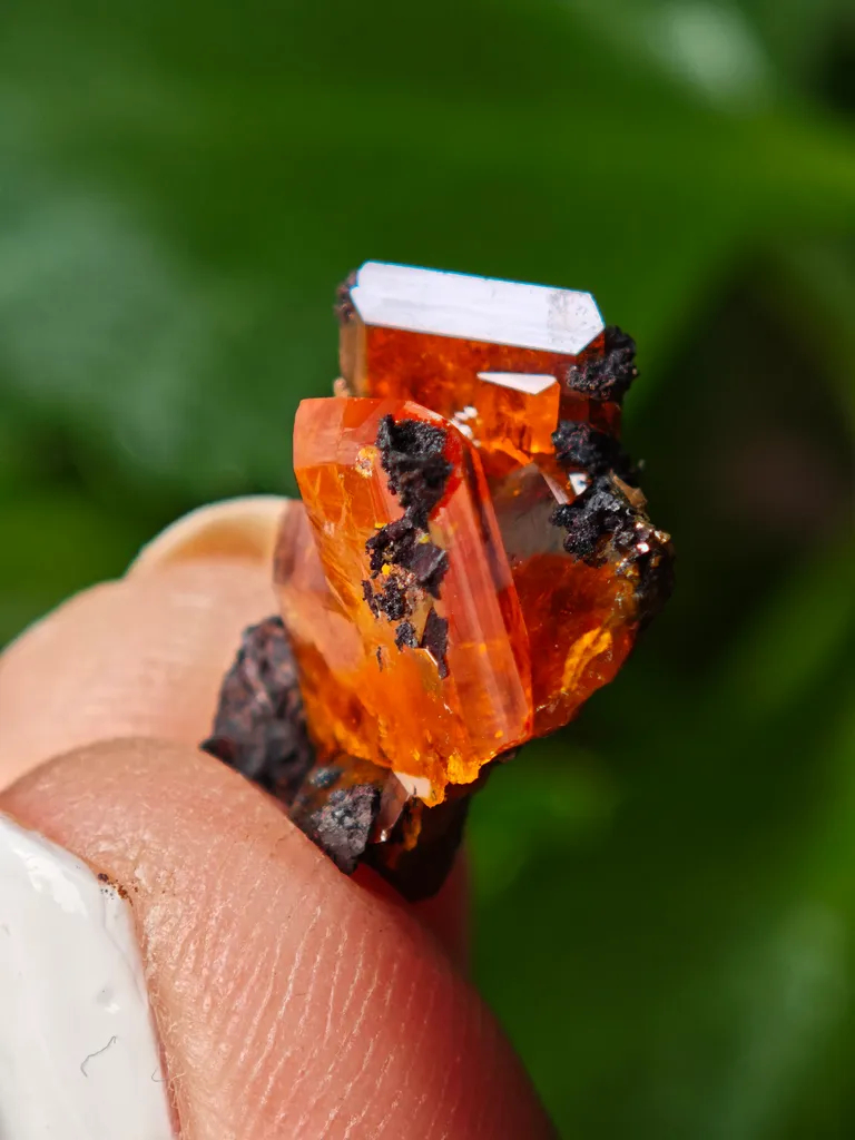Wulfenite from Red Cloud Mine, Arizona, USA - image 5