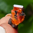 Wulfenite from Red Cloud Mine, Arizona, USA - image 5
