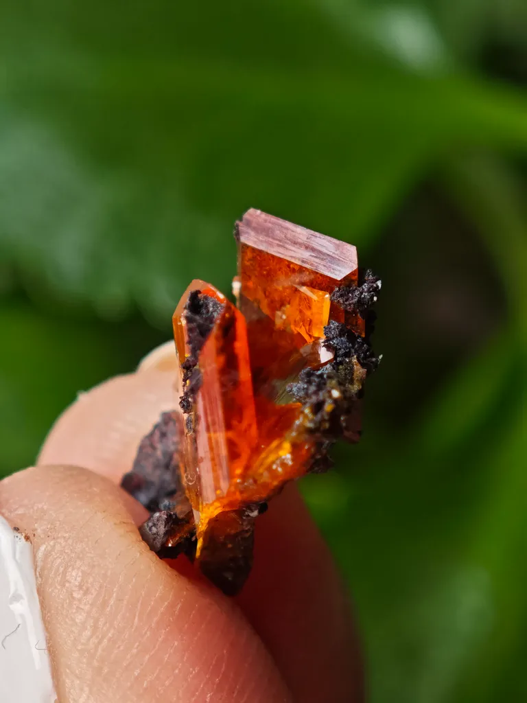 Wulfenite from Red Cloud Mine, Arizona, USA - image 6
