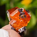 Wulfenite from Red Cloud Mine, Arizona, USA - image 2