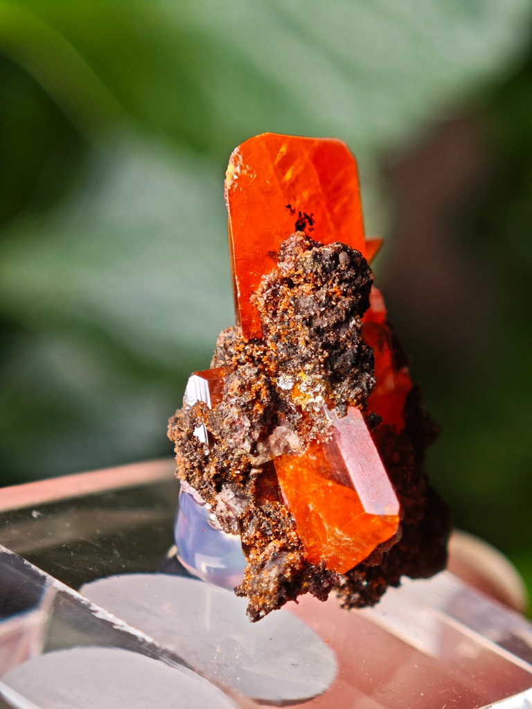 Wulfenite from Red Cloud Mine, Arizona, USA - image 2