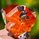 Wulfenite from Red Cloud Mine, Arizona, USA - image 4