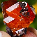 Wulfenite from Red Cloud Mine, Arizona, USA - image 1