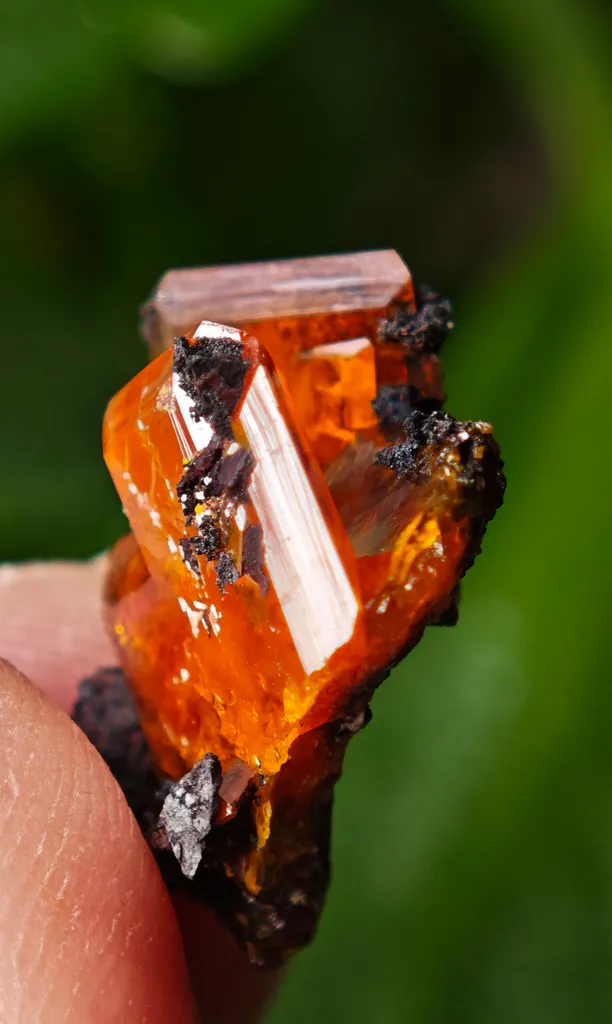 Wulfenite from Red Cloud Mine, Arizona, USA - image 9