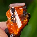 Wulfenite from Red Cloud Mine, Arizona, USA - image 9