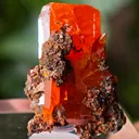 Wulfenite from Red Cloud Mine, USA. Aesthetic crystals, glassy luster, beautiful red-orange color - image 7