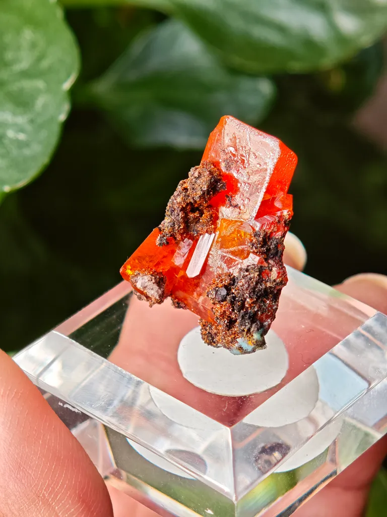 Wulfenite from Red Cloud Mine, USA. Aesthetic crystals, glassy luster, beautiful red-orange color image