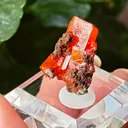 Wulfenite from Red Cloud Mine, USA. Aesthetic crystals, glassy luster, beautiful red-orange color - image 1