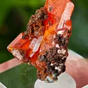 Wulfenite from Red Cloud Mine, USA. Aesthetic crystals, glassy luster, beautiful red-orange color - image 9