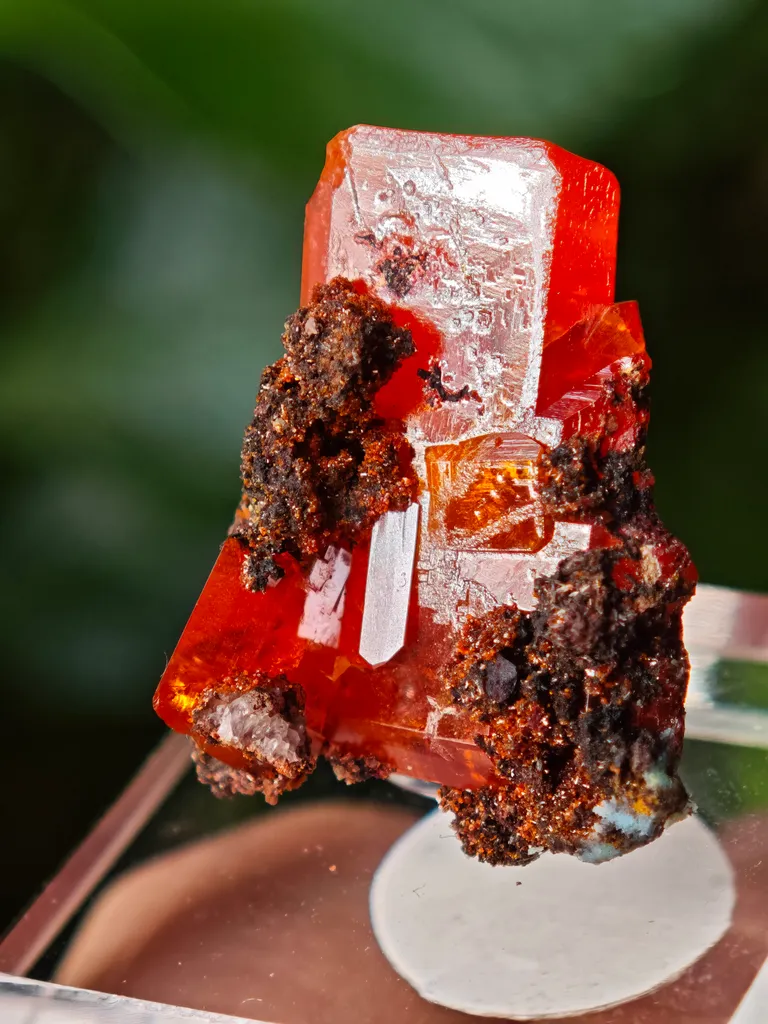 Wulfenite from Red Cloud Mine, USA. Aesthetic crystals, glassy luster, beautiful red-orange color - image 8