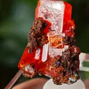Wulfenite from Red Cloud Mine, USA. Aesthetic crystals, glassy luster, beautiful red-orange color - image 8