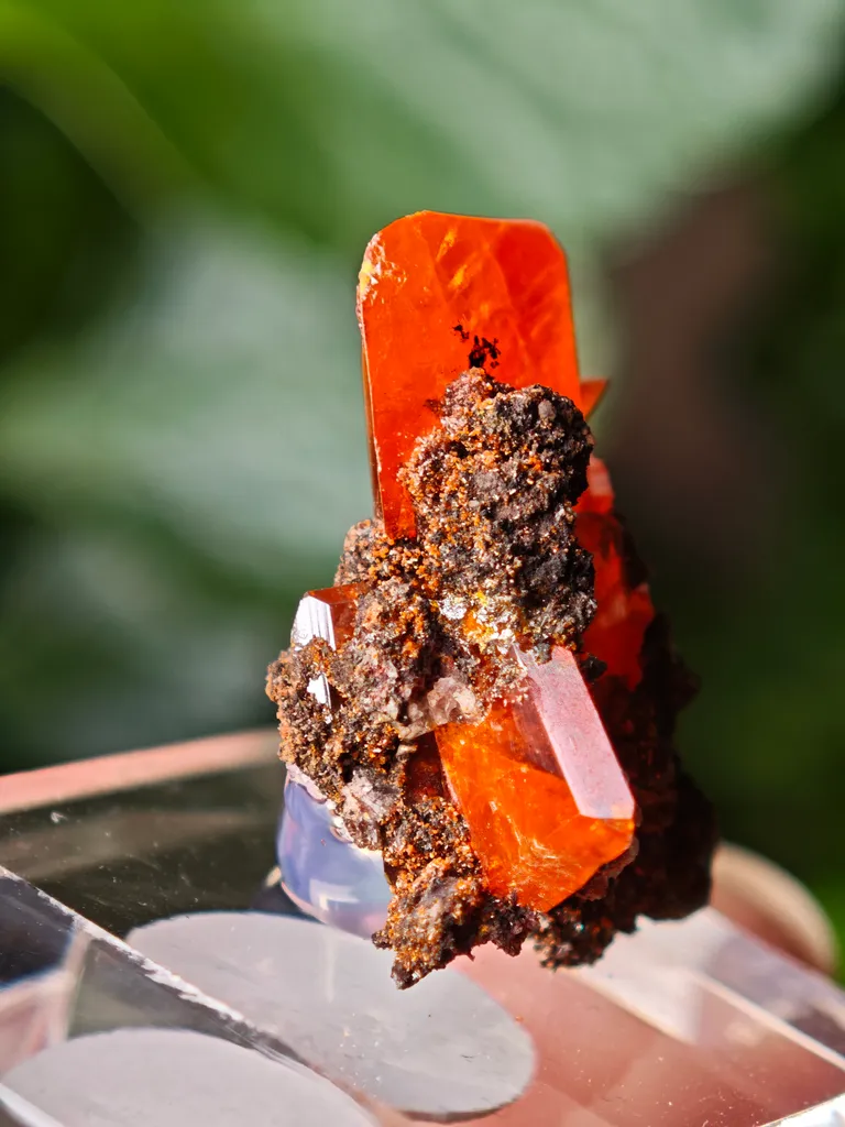 Wulfenite from Red Cloud Mine, USA. Aesthetic crystals, glassy luster, beautiful red-orange color - image 2
