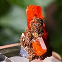 Wulfenite from Red Cloud Mine, USA. Aesthetic crystals, glassy luster, beautiful red-orange color - image 2