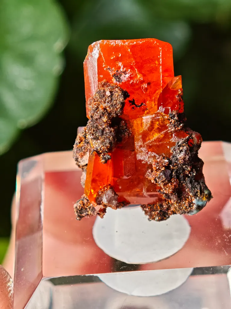 Wulfenite from Red Cloud Mine, USA. Aesthetic crystals, glassy luster, beautiful red-orange color - image 5