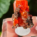 Wulfenite from Red Cloud Mine, USA. Aesthetic crystals, glassy luster, beautiful red-orange color - image 5