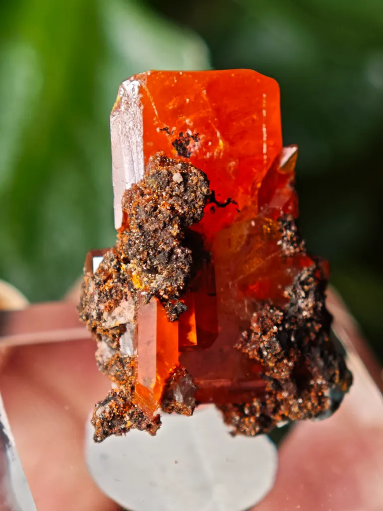 Wulfenite from Red Cloud Mine, USA. Aesthetic crystals, glassy luster, beautiful red-orange color - image 4