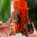 Wulfenite from Red Cloud Mine, USA. Aesthetic crystals, glassy luster, beautiful red-orange color - image 4