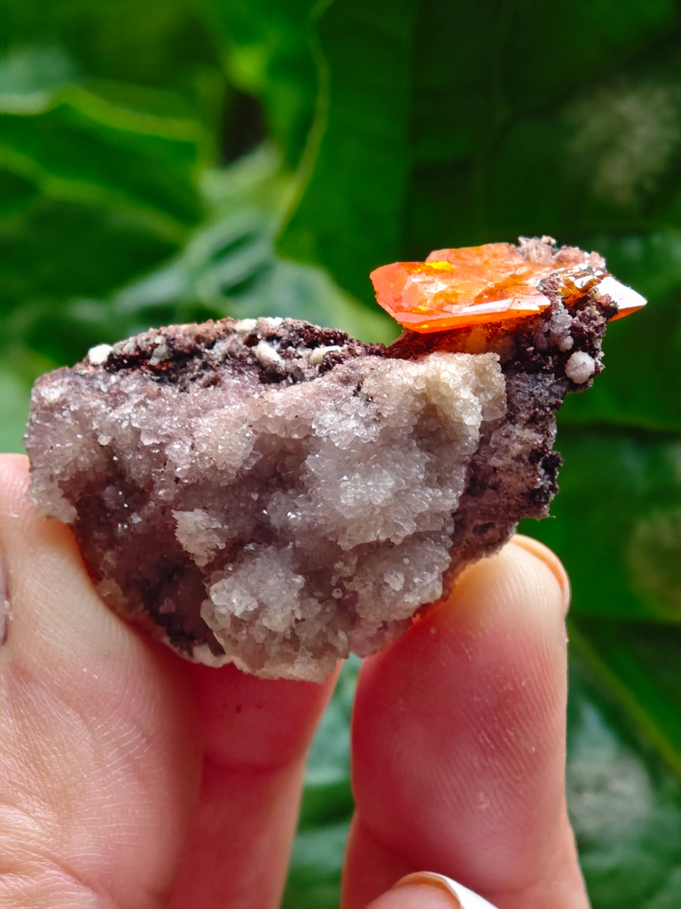 Wulfenite from Rowley Mine, Arizona, USA - image 5