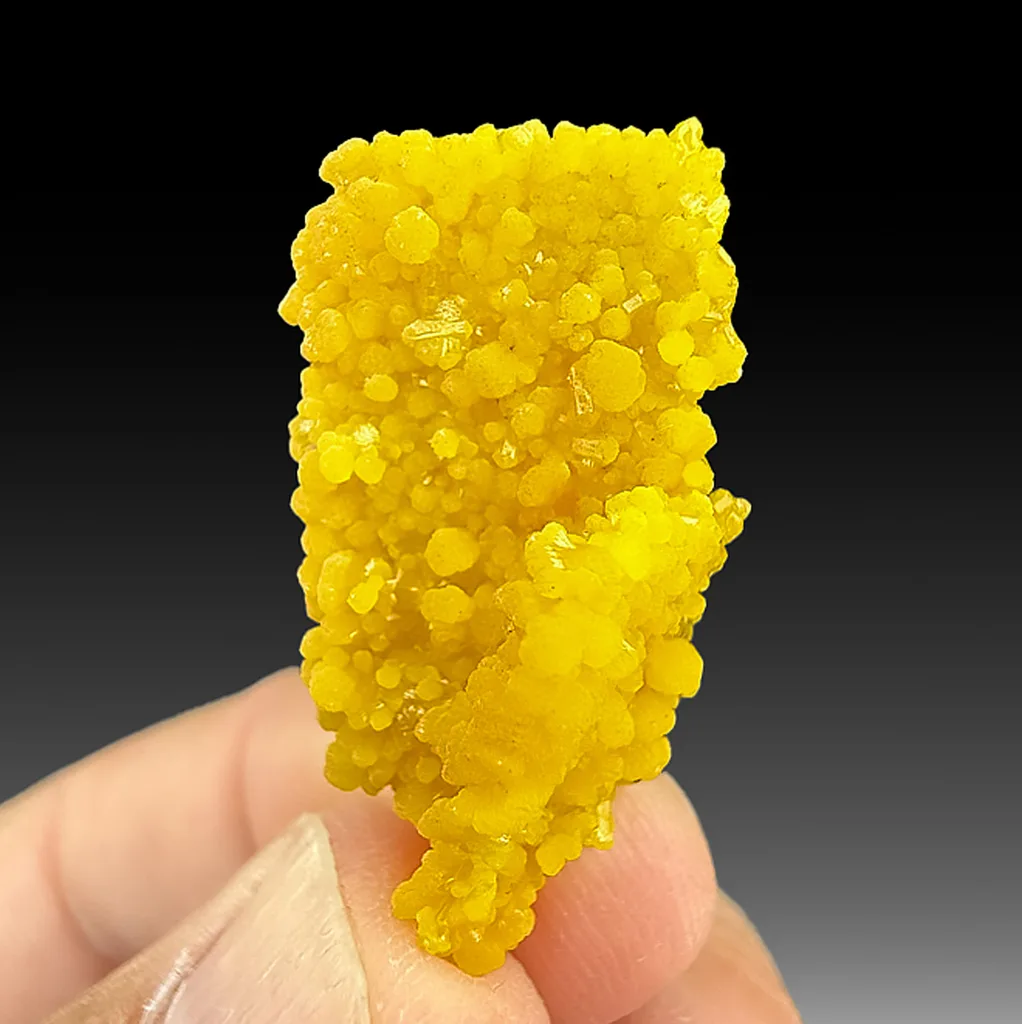 Wulfenite from San Francisco Mine, Sonora, Mexico image