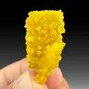 Wulfenite from San Francisco Mine, Sonora, Mexico - image 1