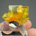 Wulfenite from San Francisco Mine, Sonora, Mexico - image 2