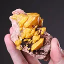 Wulfenite from Touissit, Oriental Region, Morocco - image 1