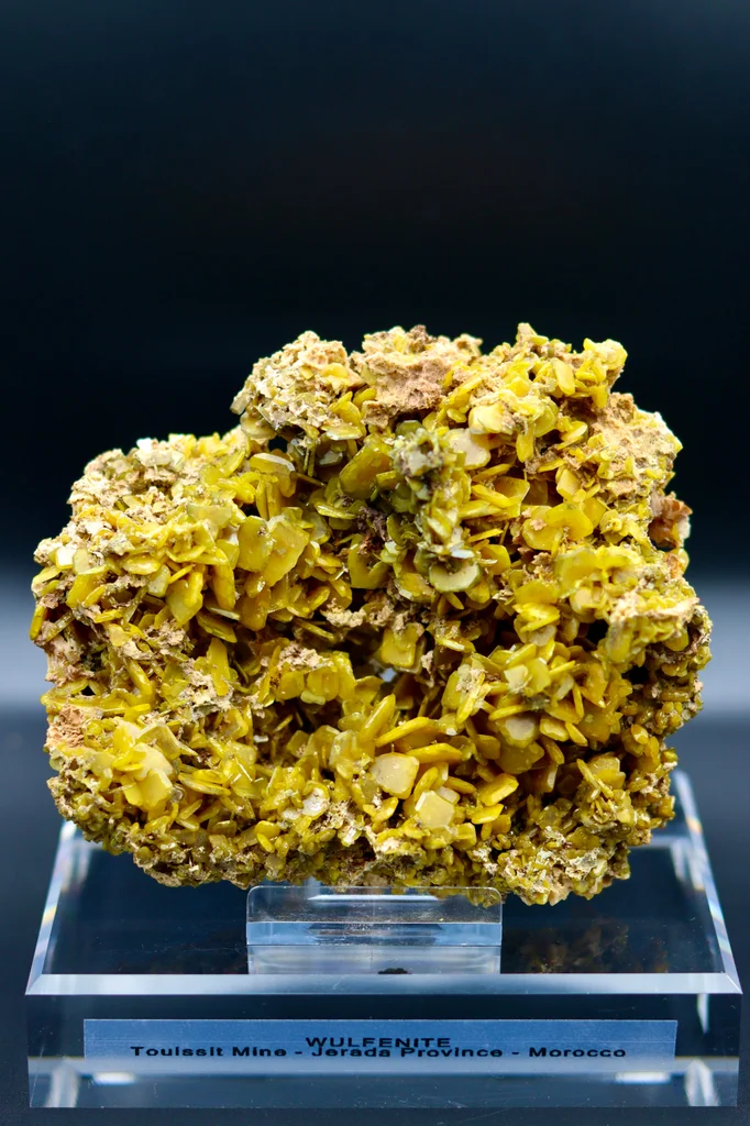 Wulfenite from Touissit, Oriental Region, Morocco image