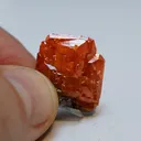 Wulfenite from USA, Arizona, La Paz County, Buckskin Mountains, Santa Maria Mining District (Planet - image 5