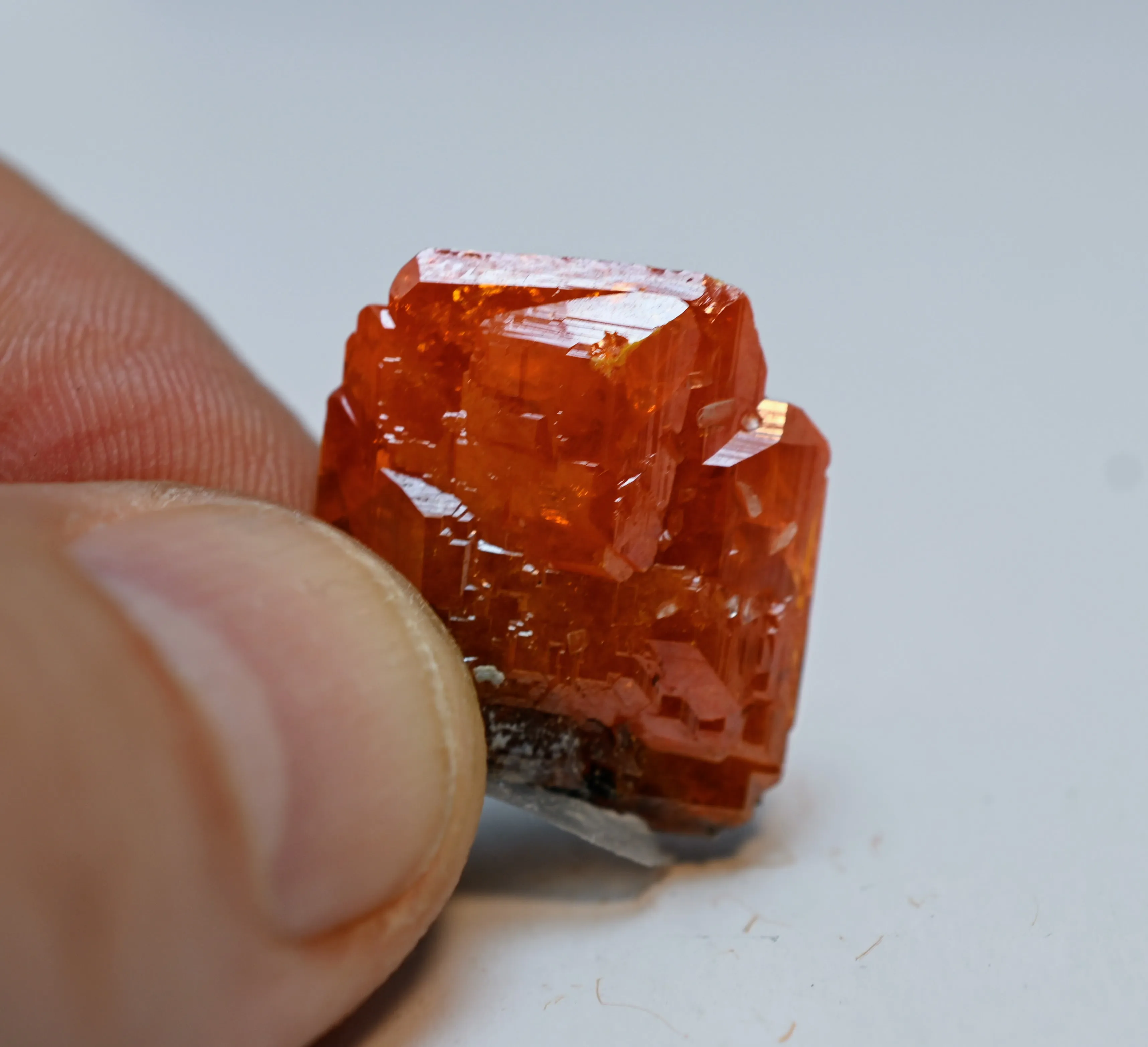 Wulfenite from USA, Arizona, La Paz County, Buckskin Mountains, Santa Maria Mining District (Planet - image 5