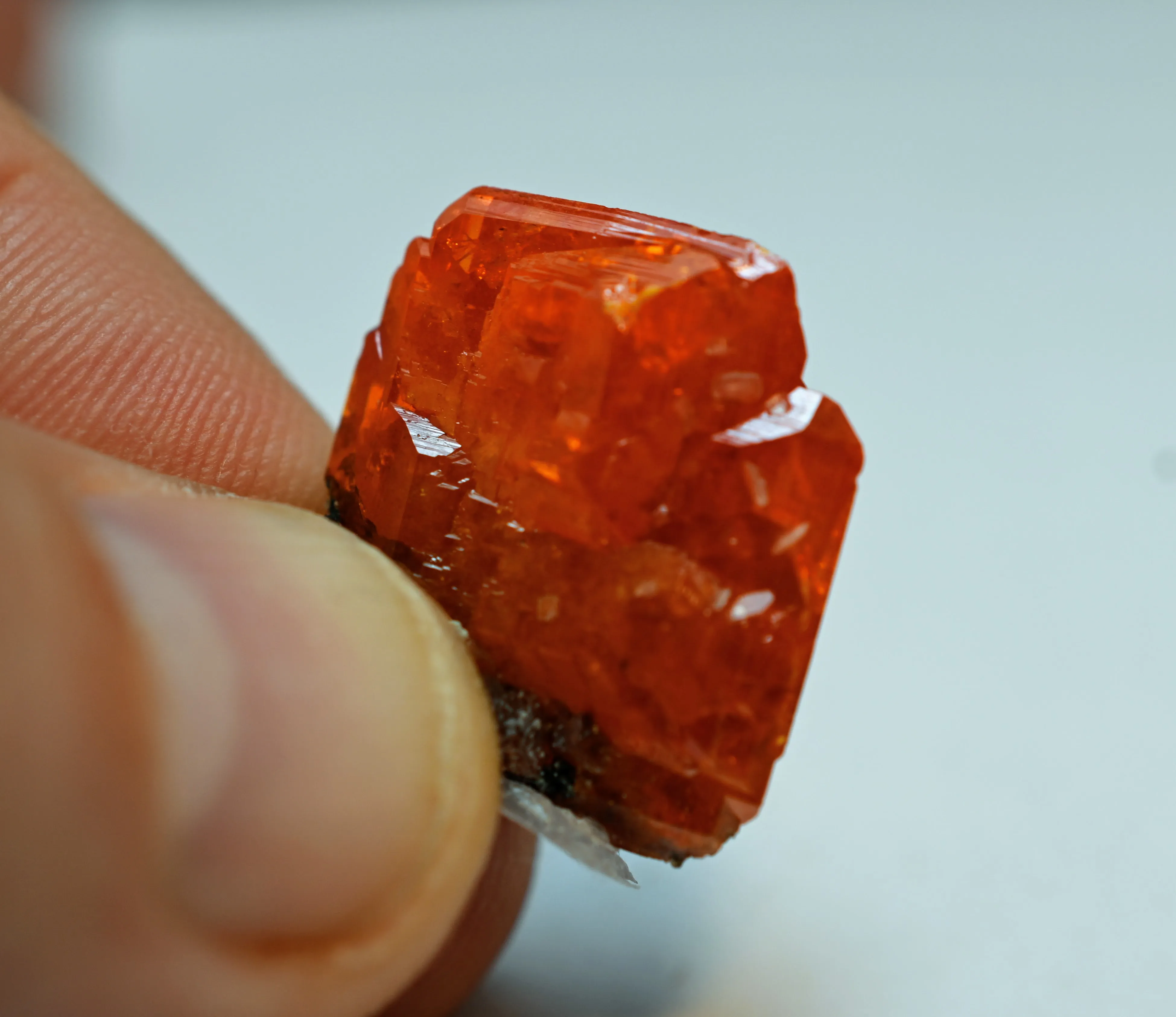 Wulfenite from USA, Arizona, La Paz County, Buckskin Mountains, Santa Maria Mining District (Planet - image 4