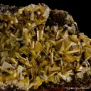 Wulfenite in pocket - image 4