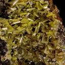 Wulfenite in pocket - image 5