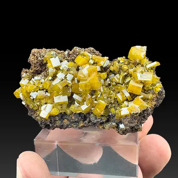 Wulfenite (O-0079)