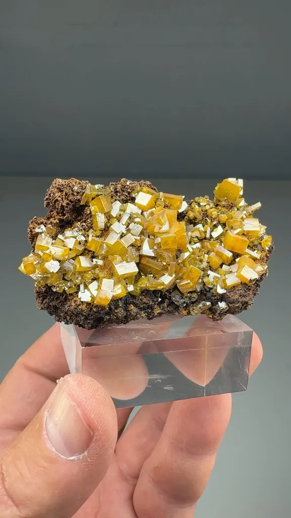 Wulfenite (O-0079) image