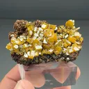 Wulfenite (O-0079) - image 1